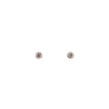 ROSE GOLD 5mm CZ STUDS